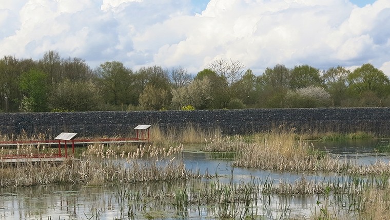 Expérience(s) de paysage