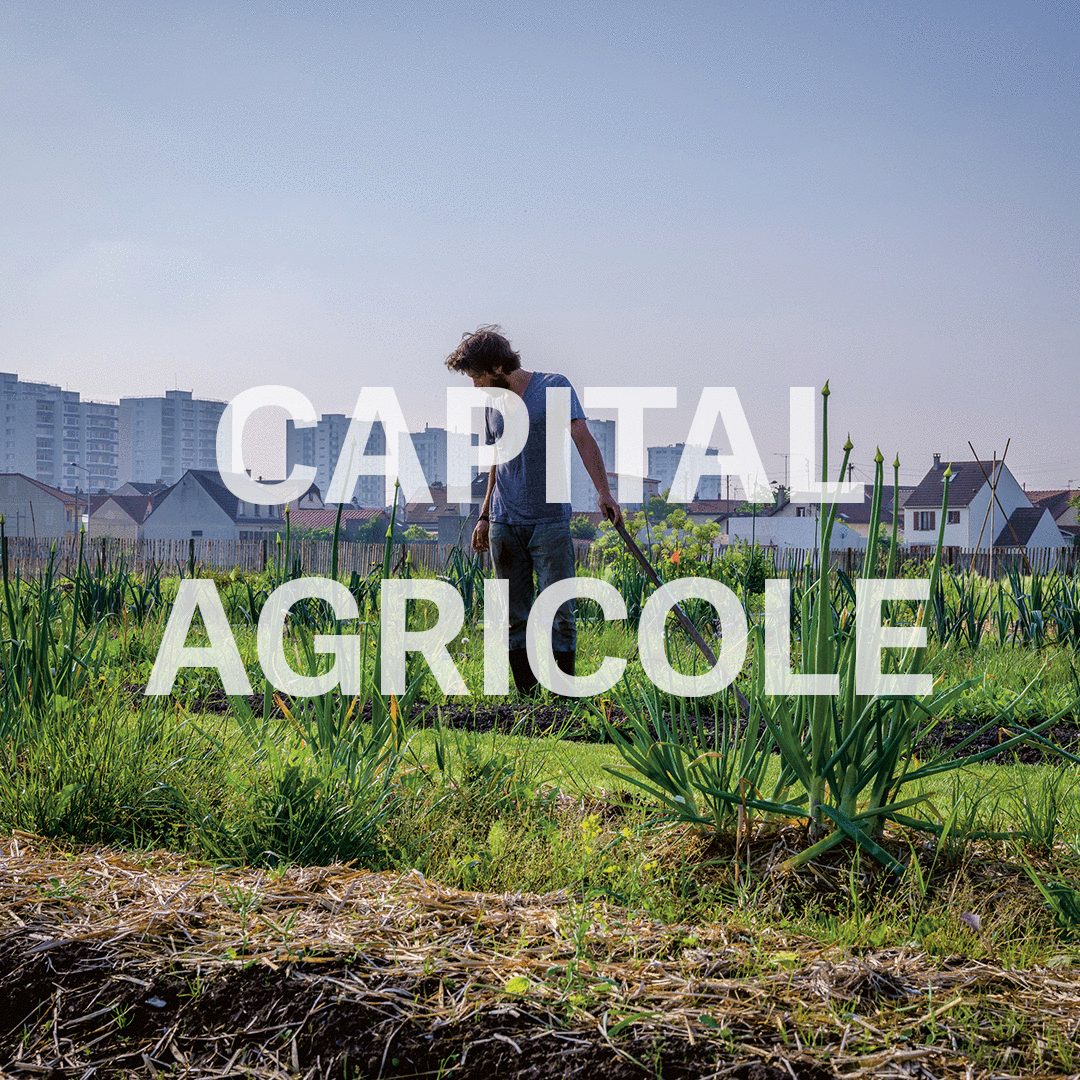 Capital Agricole